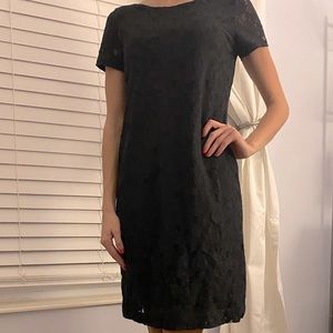Calvin Klein cocktail/office dress lace